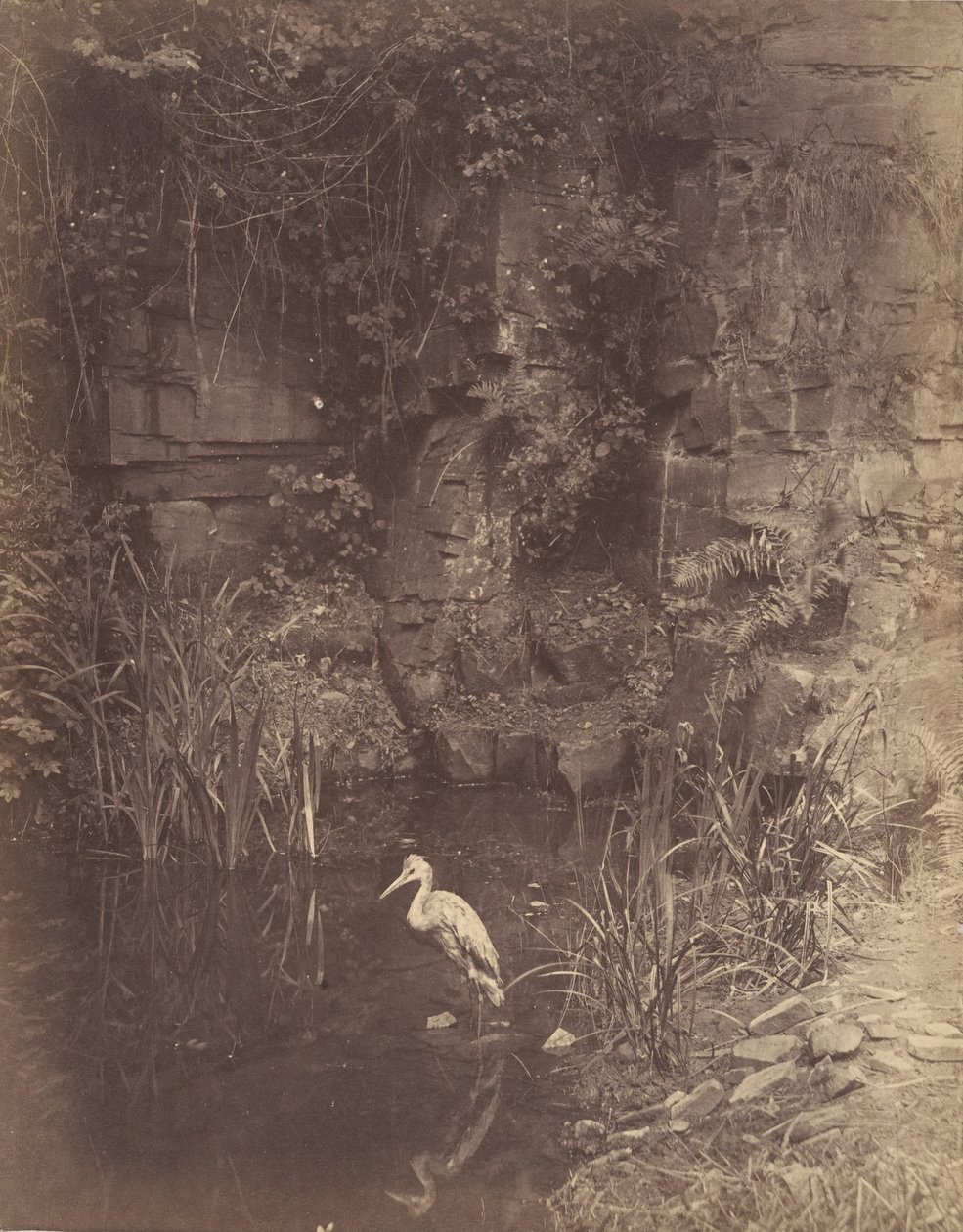Pescador 2, 1856 de John Dillwyn Llewelyn