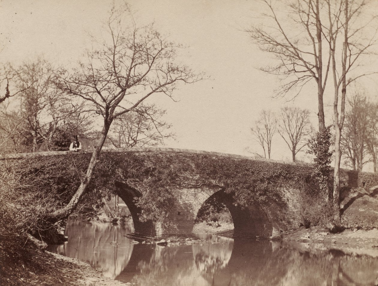 A ponte de Staplylton da ponte do país, Bristol, c. 1854-1857. de John Dillwyn Llewelyn