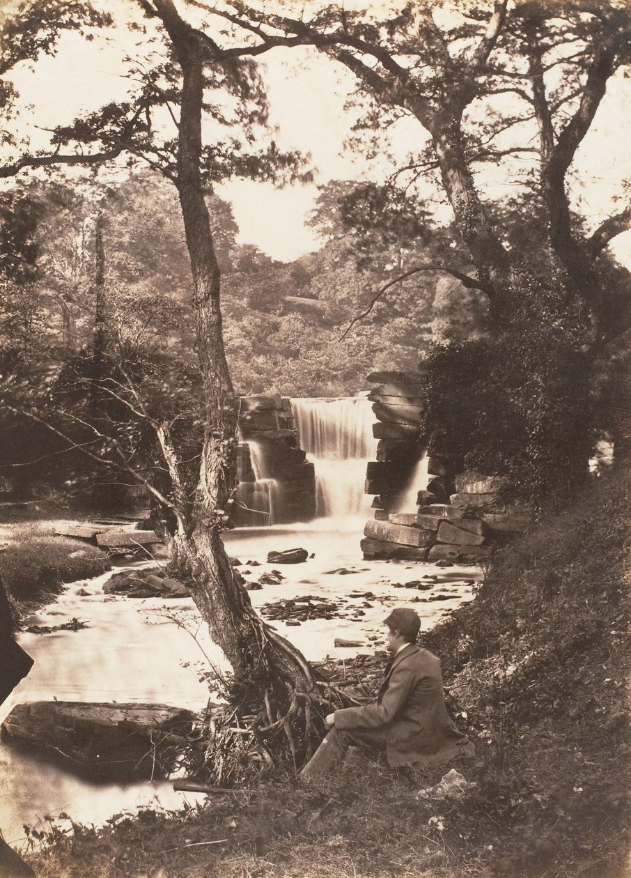 A queda superior, 1853-56. de John Dillwyn Llewelyn