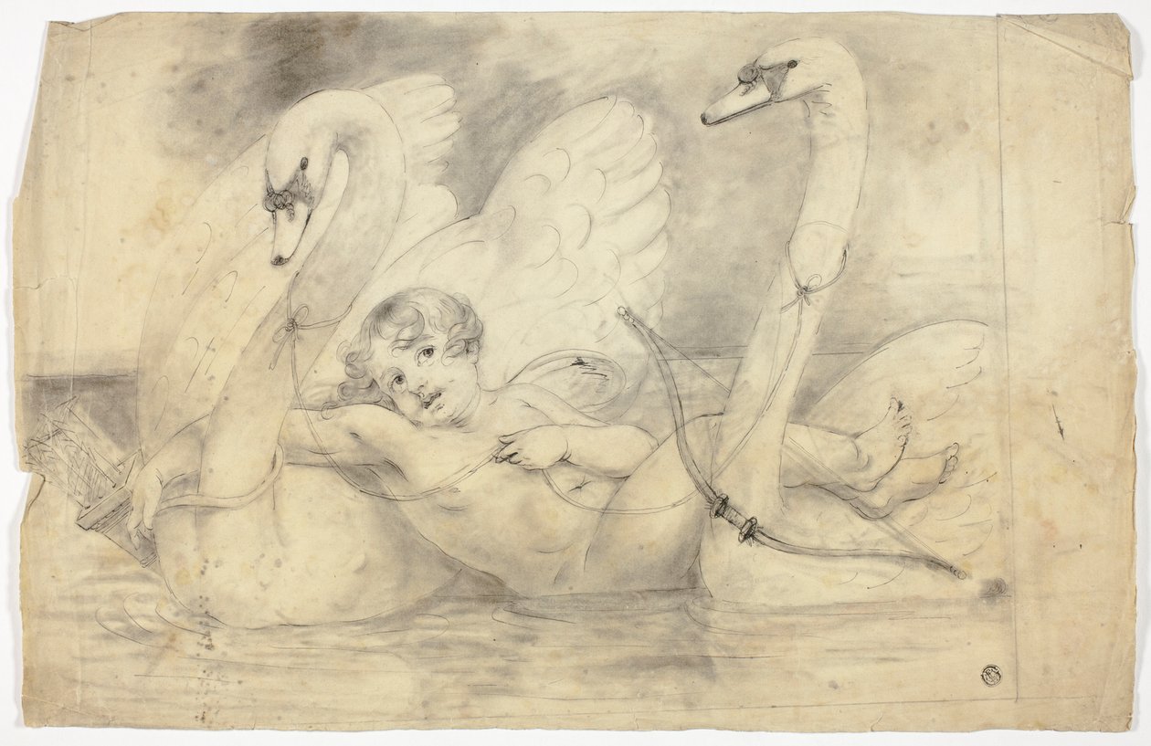 Cupido e cisnes de John Downman