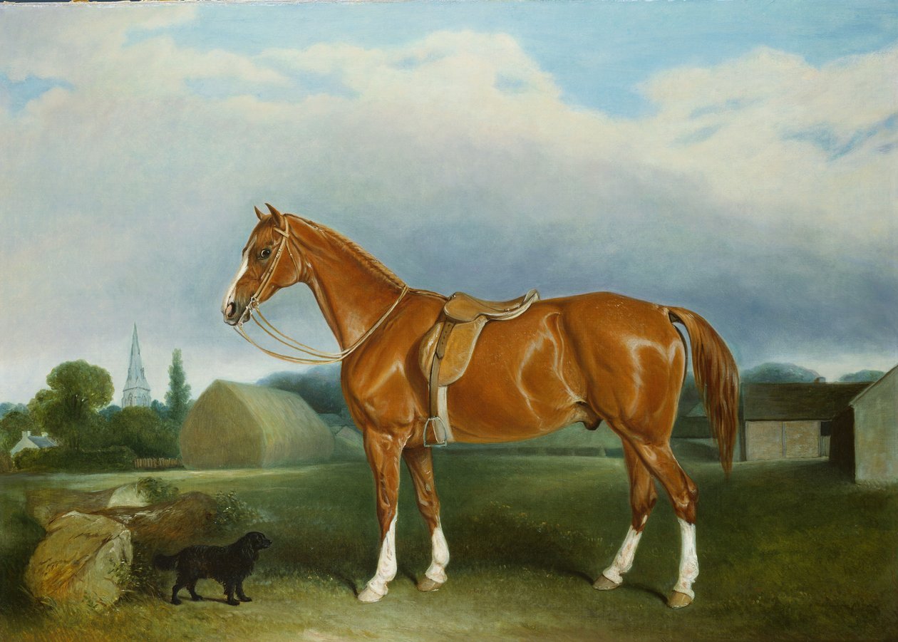 Um caçador de castanhas e um Spaniel por edifícios agrícolas de John E. Ferneley
