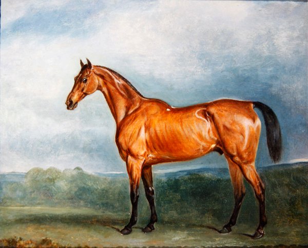 Brinze-a-Pin em um paddock (óleo sobre tela) de John E. Ferneley