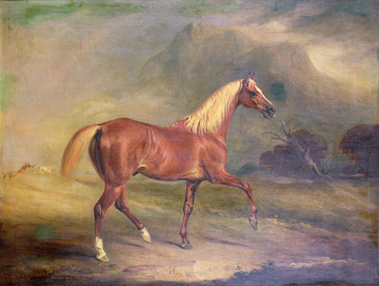 Garanhão Árabe Castanho de John E. Ferneley