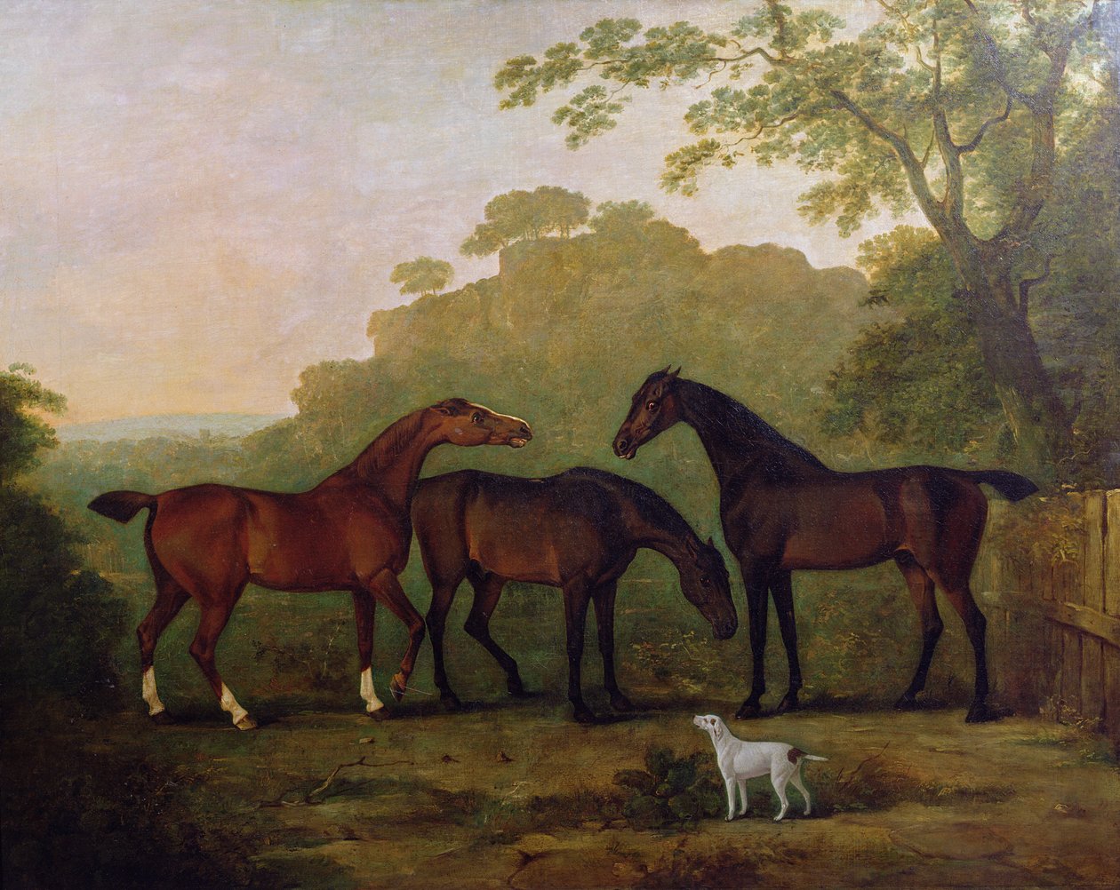 Caçadores na grama de John E. Ferneley