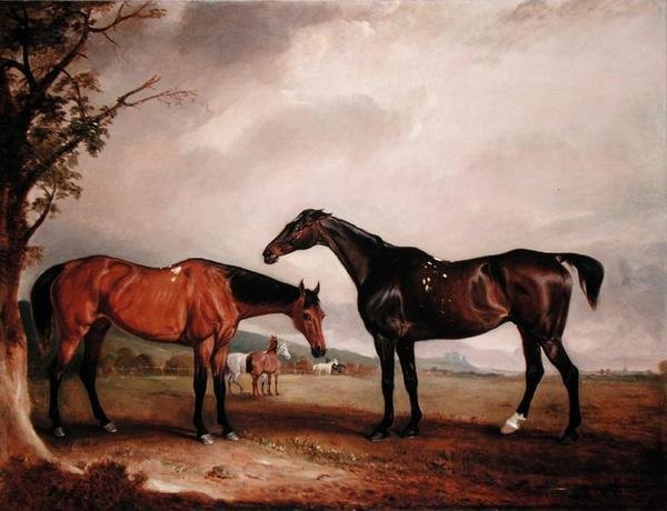 Longford Lass e o judeu de John E. Ferneley