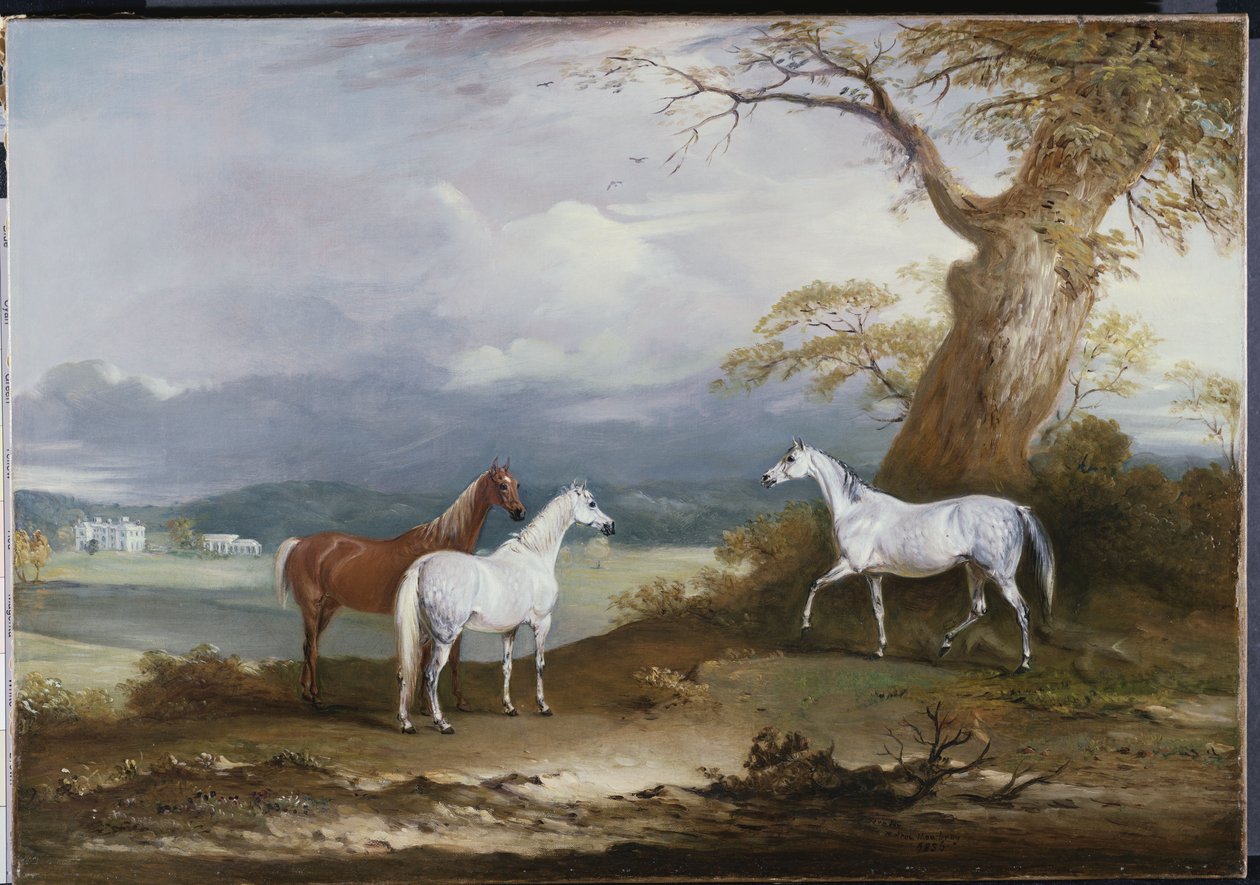 Éguas de Lord Macdonald nas terras de Thorpe Hall, Rudston, Yorkshire, 1836 de John E. Ferneley
