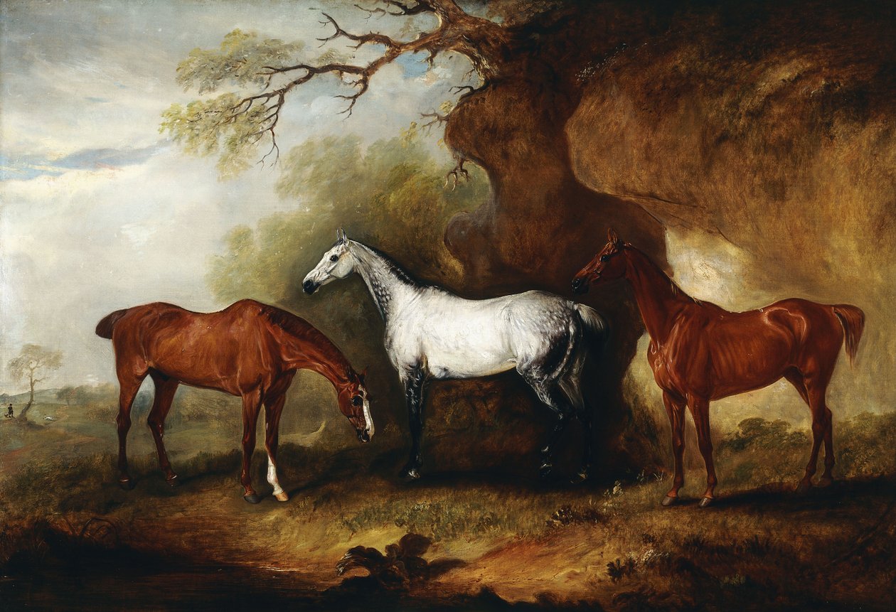 Três caçadores pertencentes a Robert Myddelton-Biddulph, de John E. Ferneley