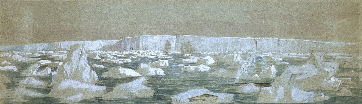 Parte da Barreira Polar Sul, 2 de fevereiro de 1841 (aguarela) de John Edward Davis