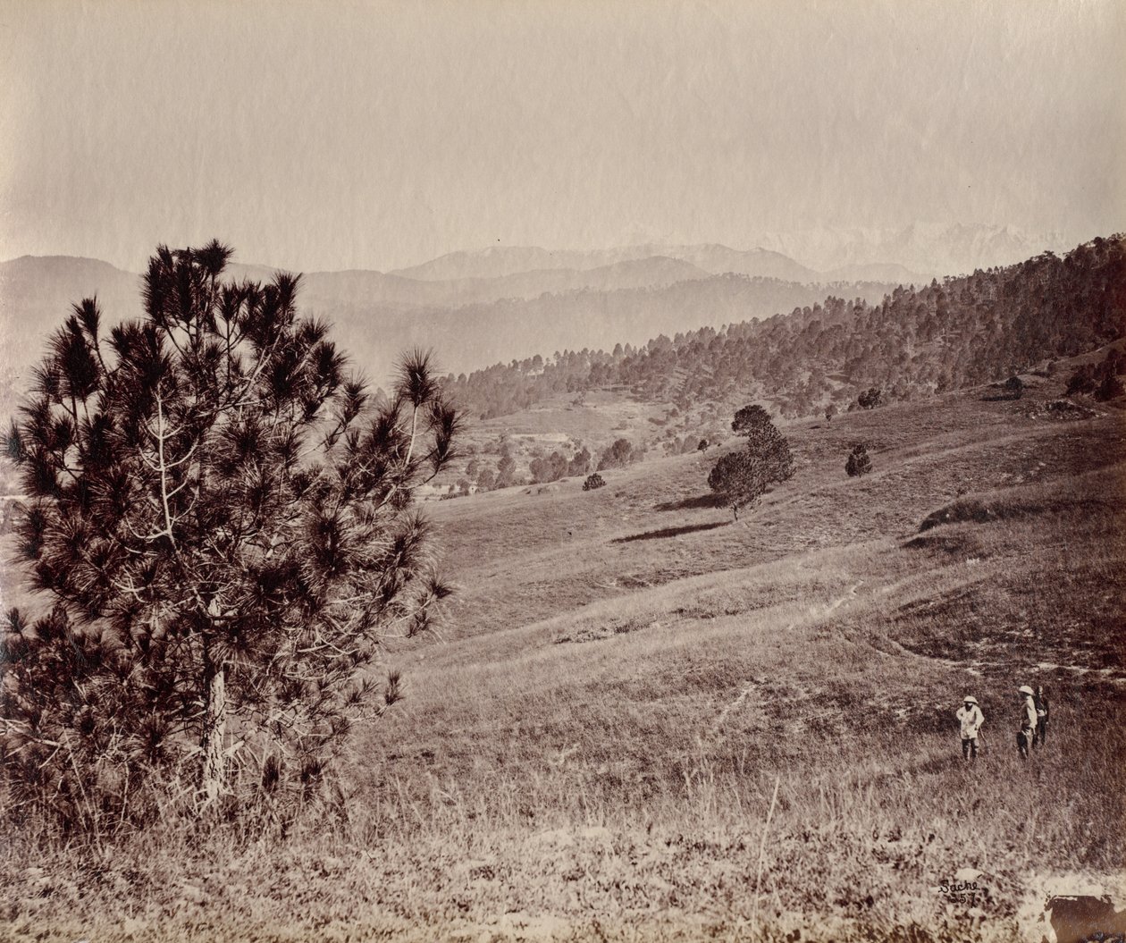 Paisagem com Árvore e Três Homens, Índia de John Edward Saché
