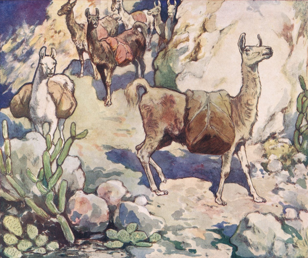 Alpacas num caminho de montanha, ilustração de 