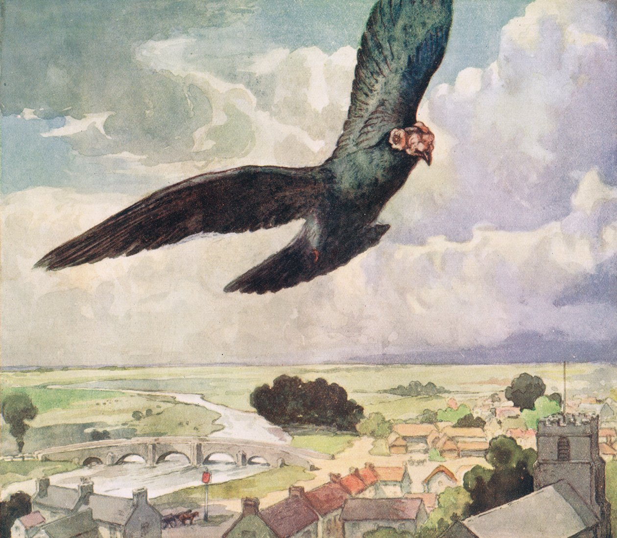 Pássaro voando sobre uma cidade, ilustração de 