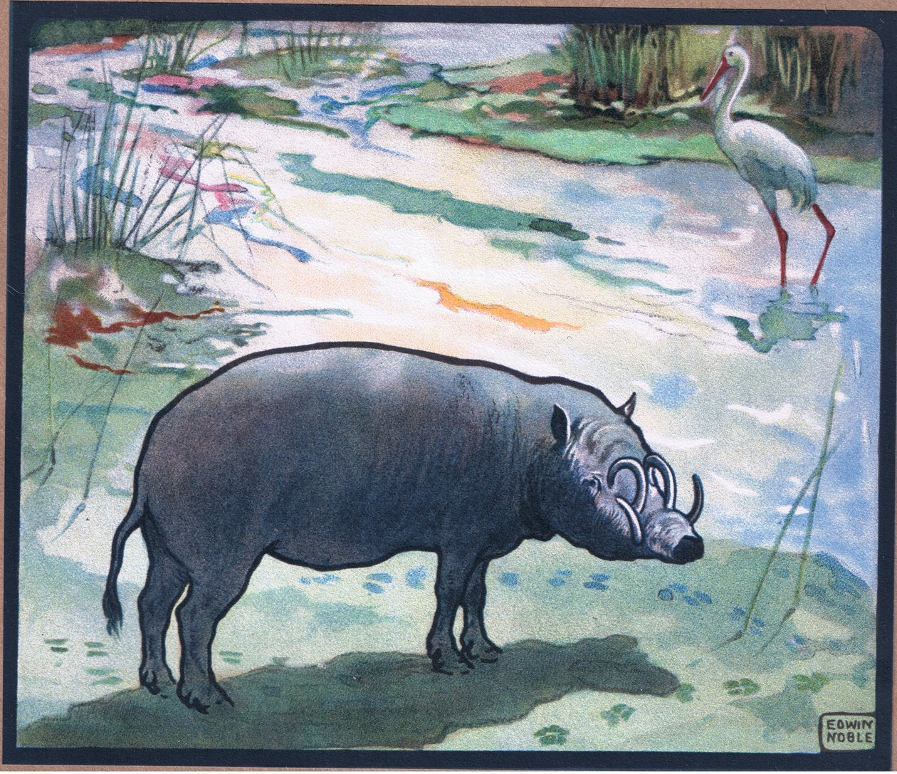 Porco do Rio Vermelho (Red River Hog) de John Edwin Noble