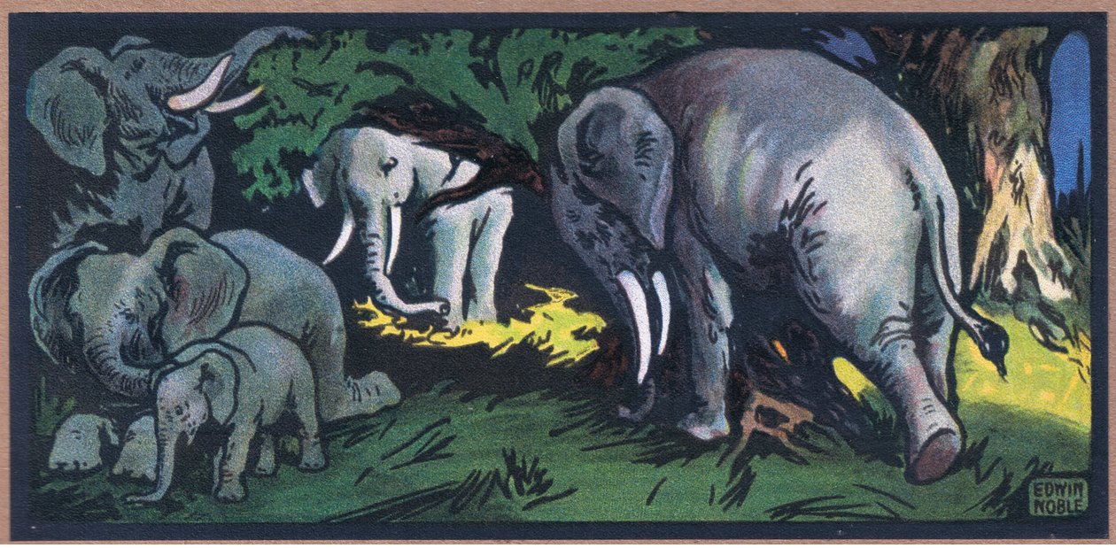 Elefante na selva de John Edwin Noble