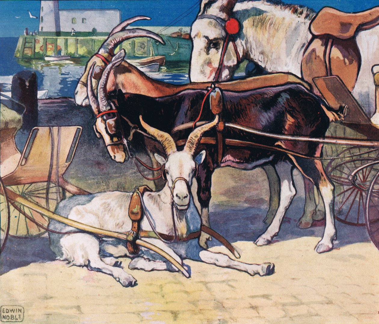 Cabras em repouso, ilustração de 