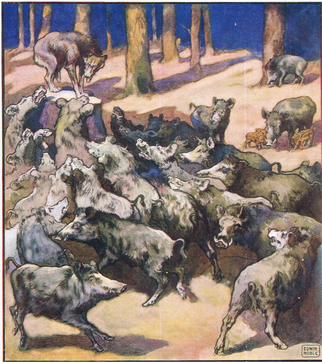 No centro do cepo estava um grande lobo cinzento (cor litho) de John Edwin Noble