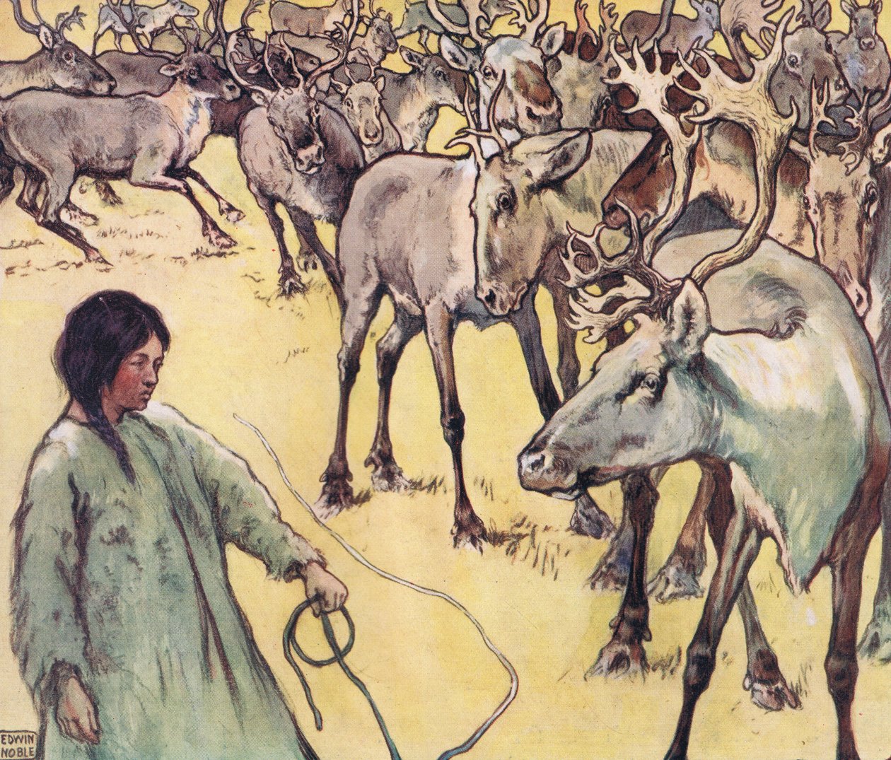 Manada de alces, ilustração de 