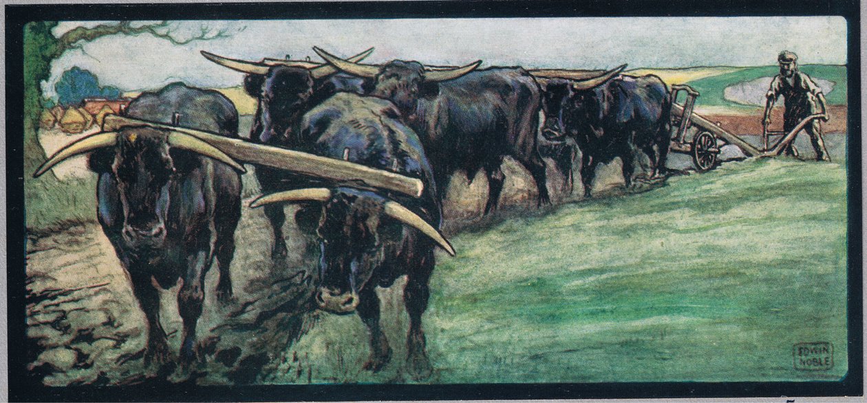 Arando o campo, ilustração de 