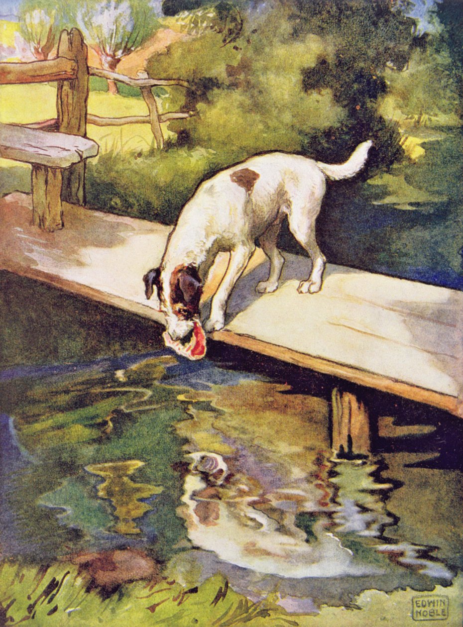 The Dog and the Shadow from 