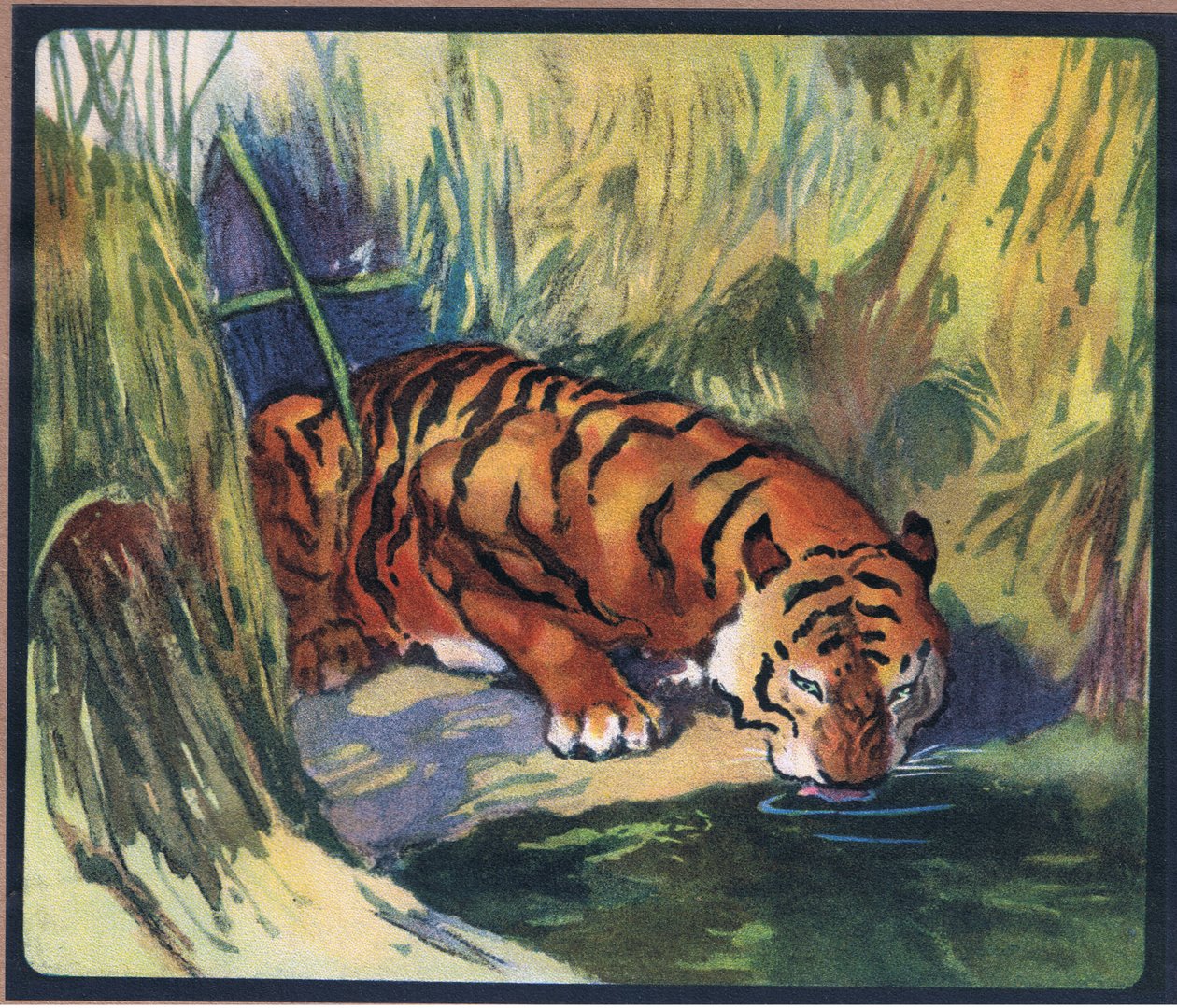 Tigre de John Edwin Noble