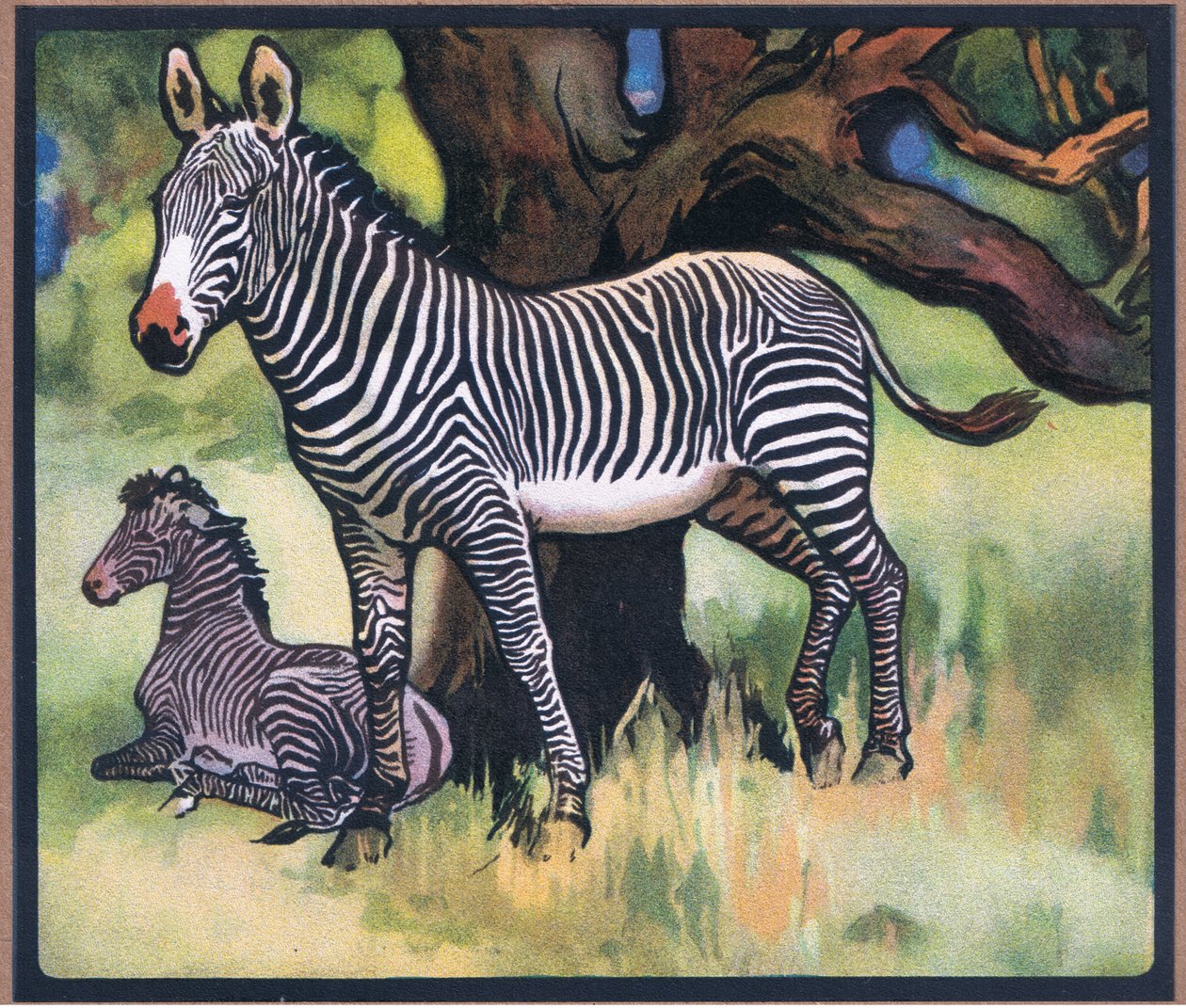 Zebras de John Edwin Noble