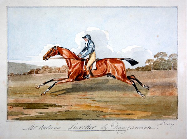 O "Lurcher" do Sr. Wilson por Dungannon de John Emery