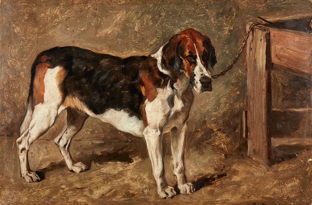 Estudo de um Hound (óleo a bordo) de John Emms