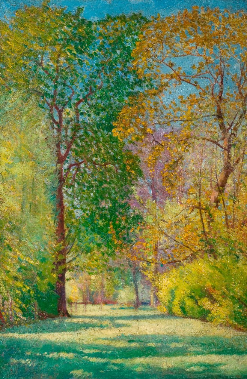 Estudo da Árvore (óleo sobre tela) de John Everett