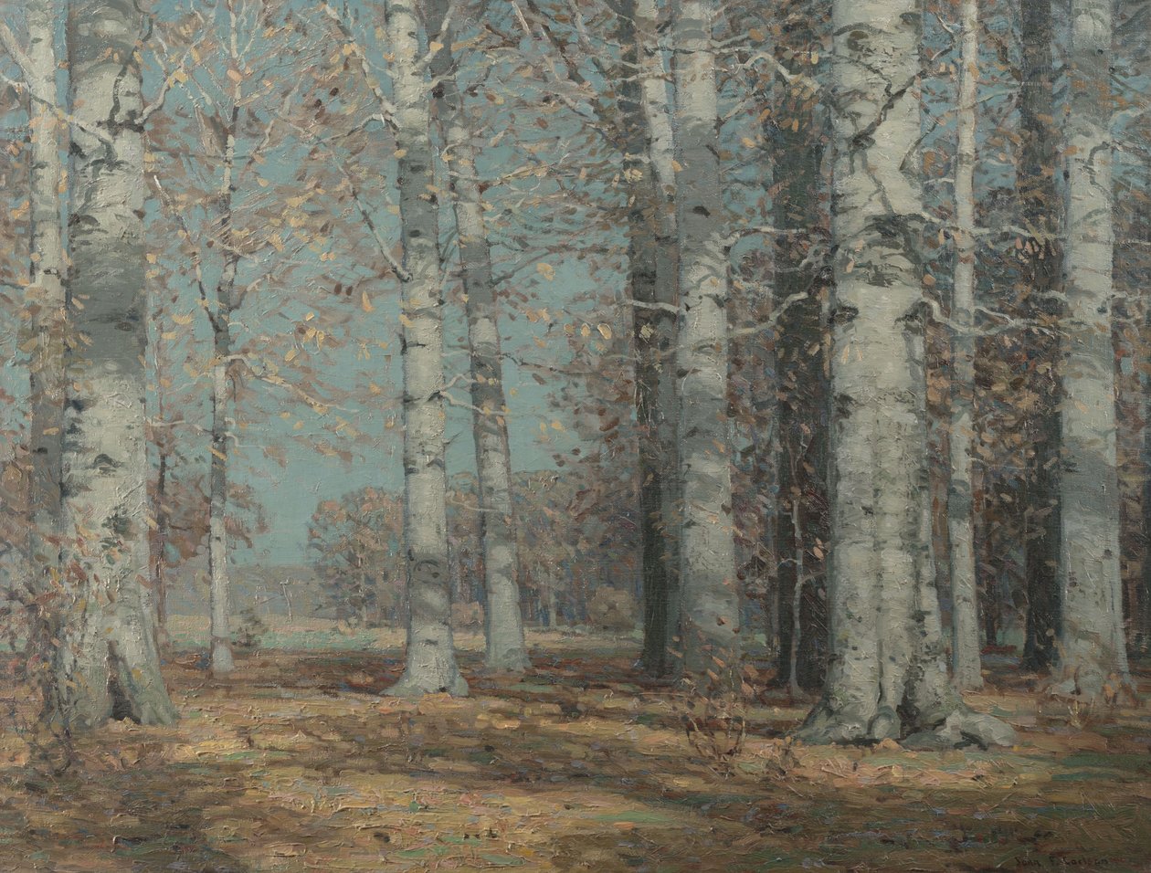 Autumn Beeches, c.1908-1915 (óleo sobre tela) de John Fabian Carlson