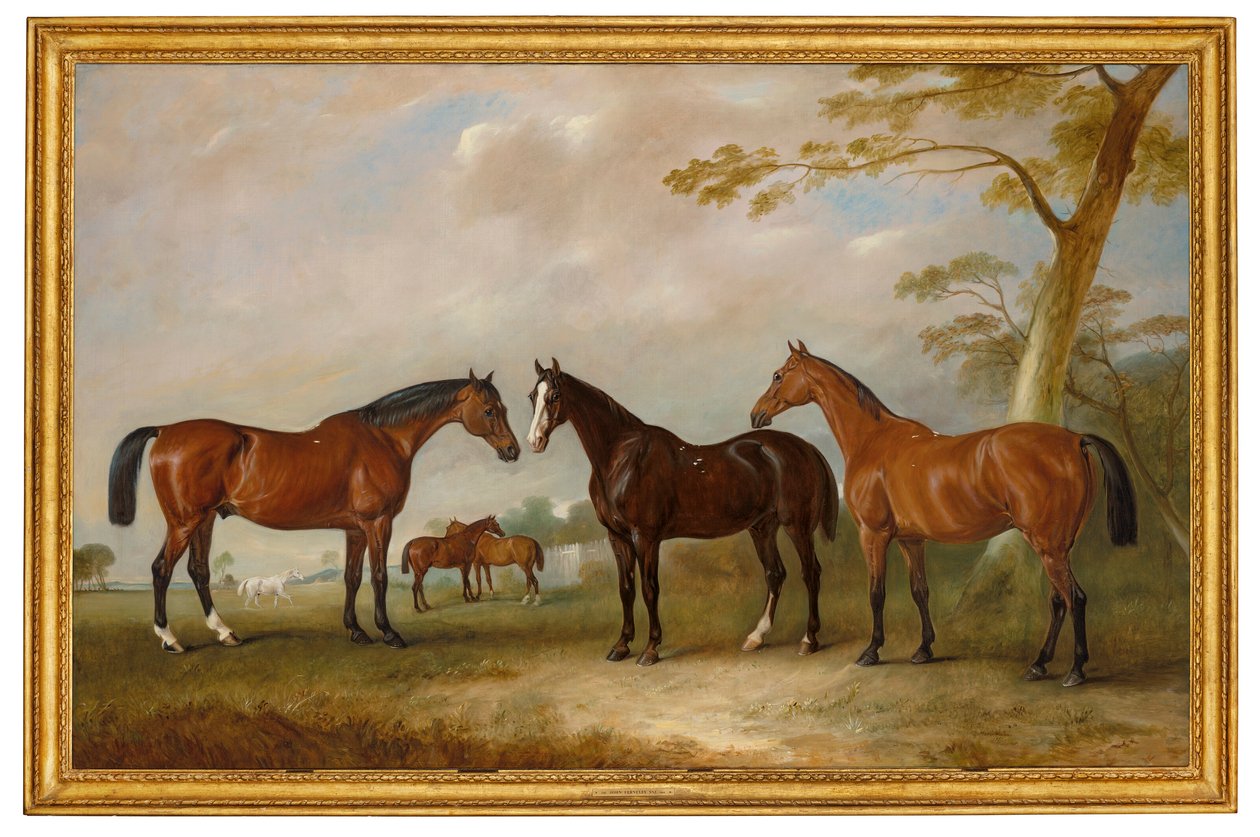 Intrepid, Conqueror e Bay Bolton com Silkman e Darnley mais além numa paisagem de John Ferneley