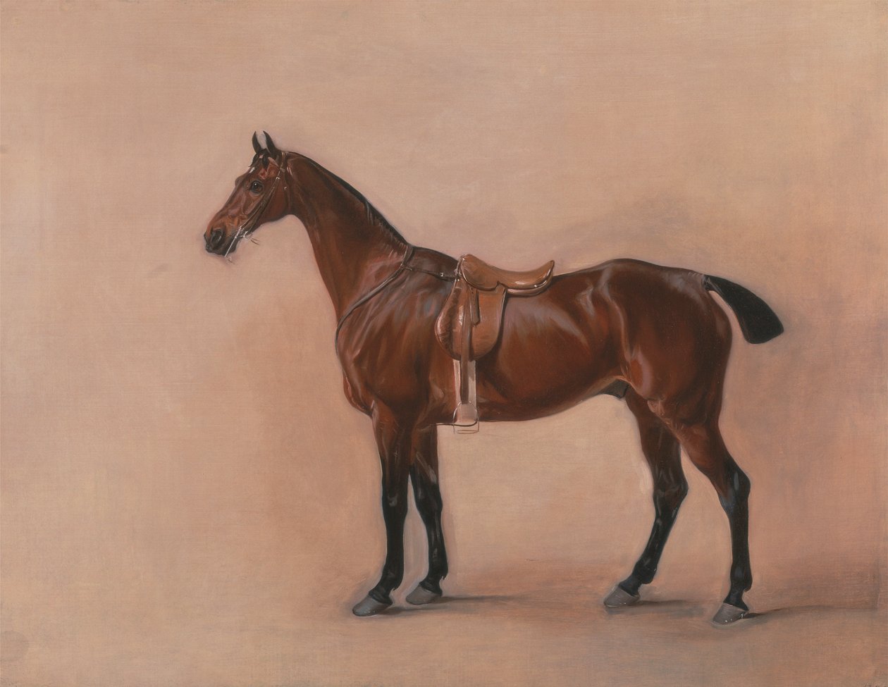 Estudo de um Saddled Bay Hunter de John Ferneley