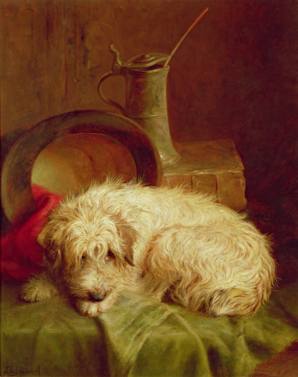 Um terrier de John Fitz Marshall