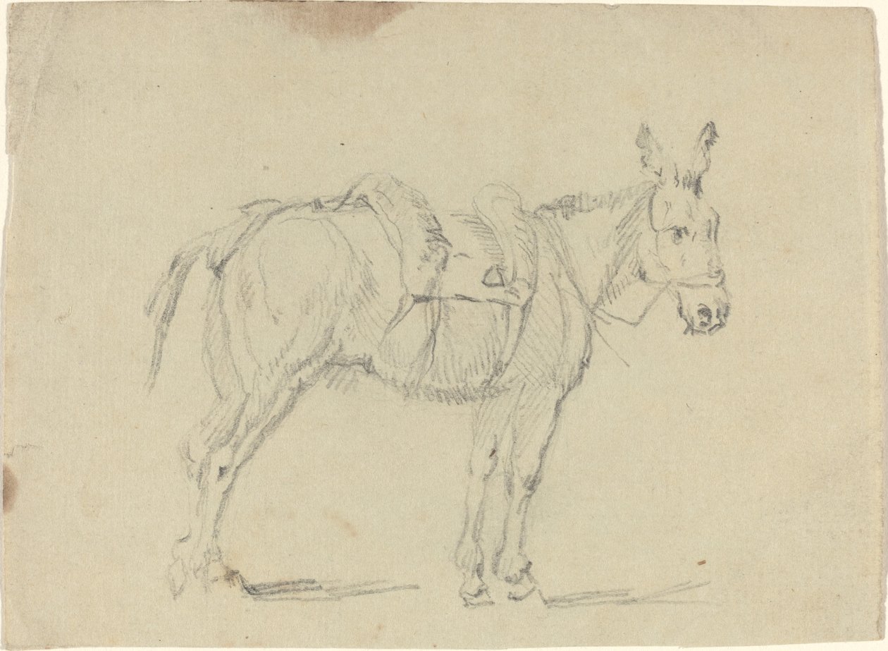 Burro esticando uma pata traseira de John Flaxman
