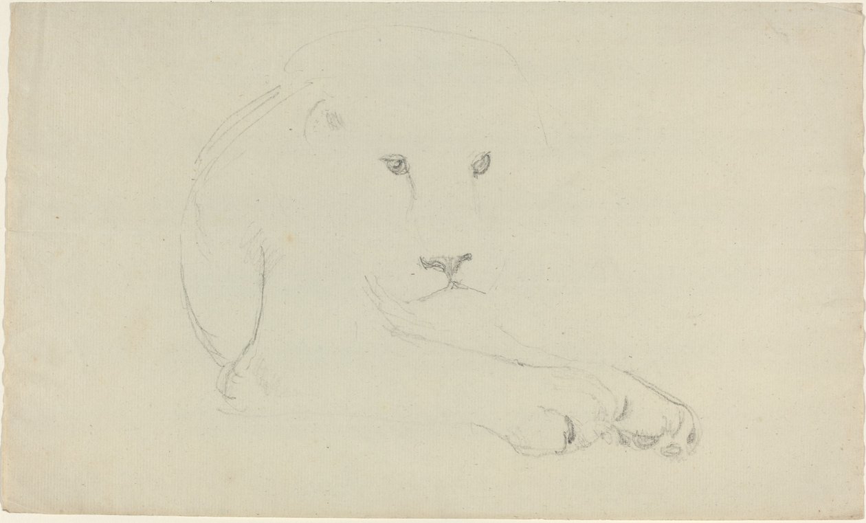 Leoa de John Flaxman