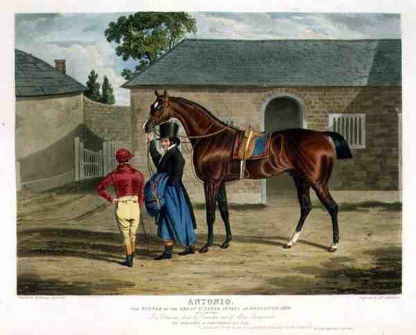 "Antonio", o Vencedor do Grande St. Leger em Doncaster de John Frederick Herring Snr