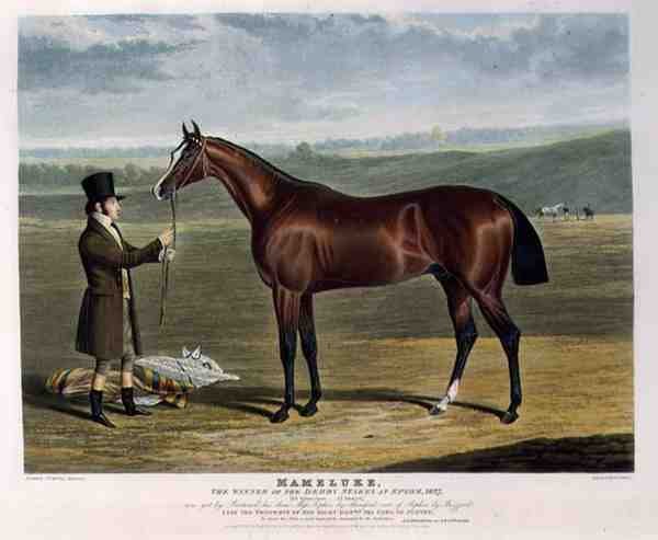 "Mameluke", o vencedor do Derby Stakes na Epsom de John Frederick Herring Snr