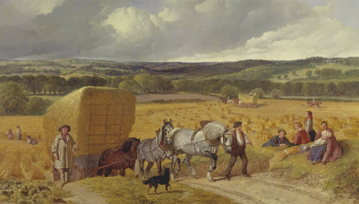Colheita de John Frederick Herring