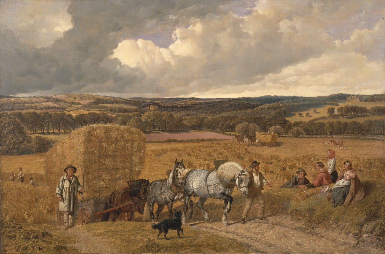 A Colheita de John Frederick Herring
