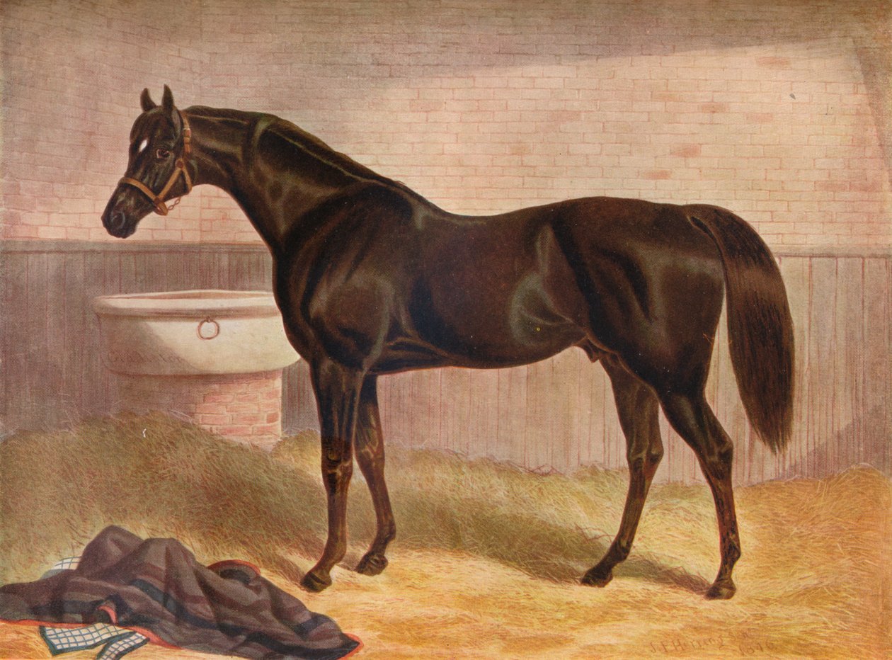 "Gladiador", século XIX de John Frederick Herring I
