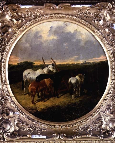 Cavalos a rolar num prado de John Frederick Herring Jnr