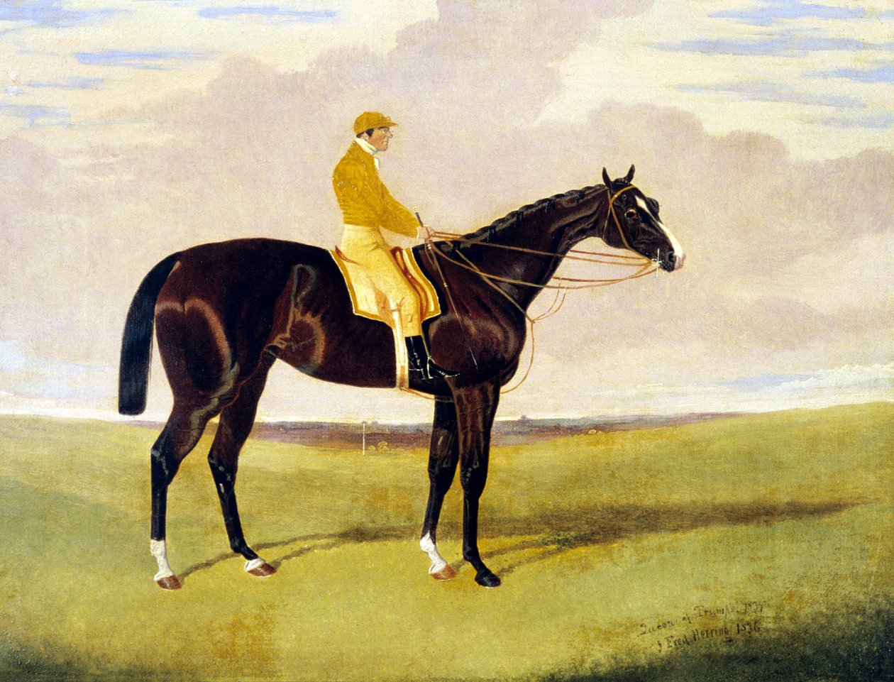 "Rainha dos Trunfos" com Lye de John Frederick Herring Jnr