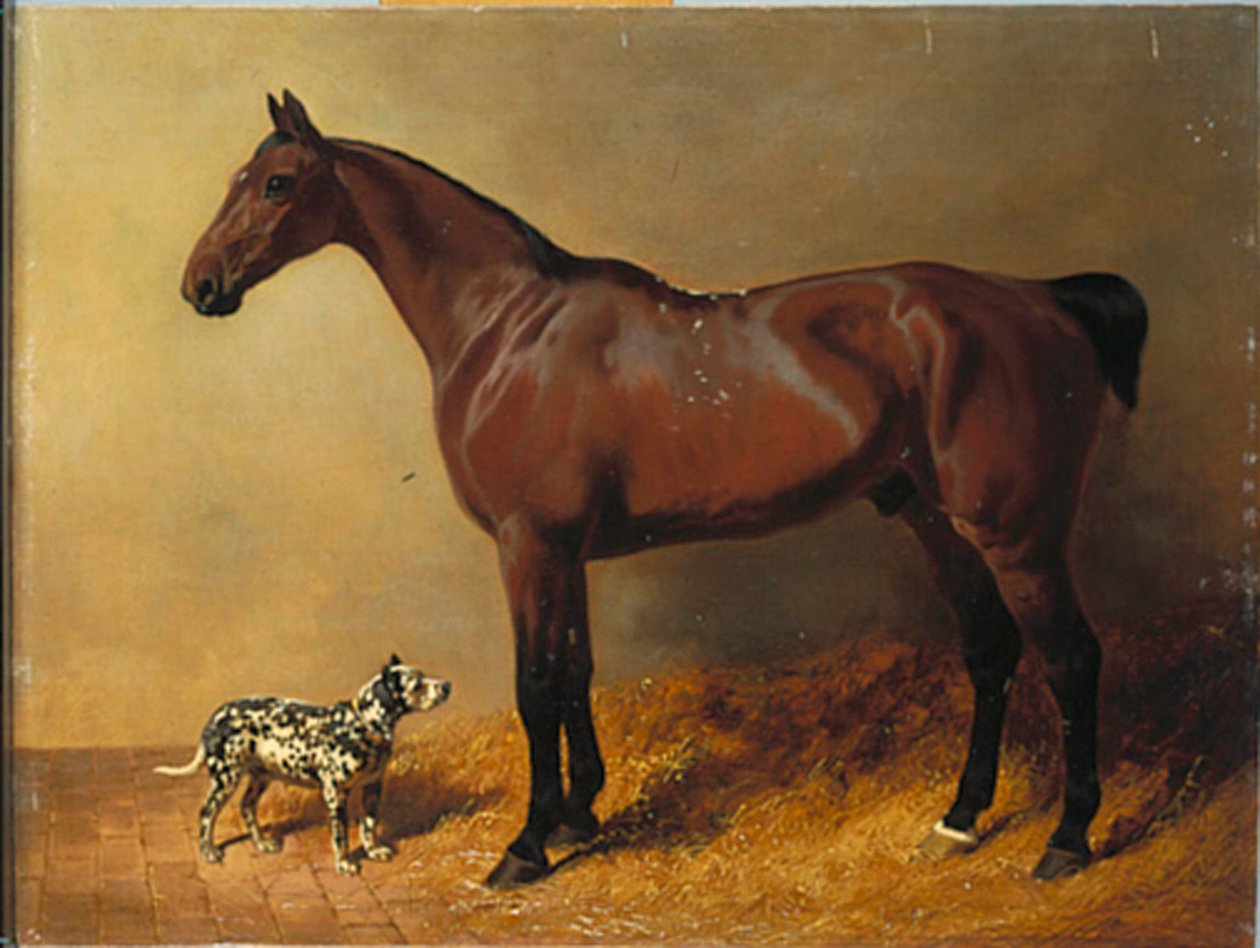 Um caçador de baía e um cachorro malhado em um interior estável, 1846 de John Frederick Herring Senior
