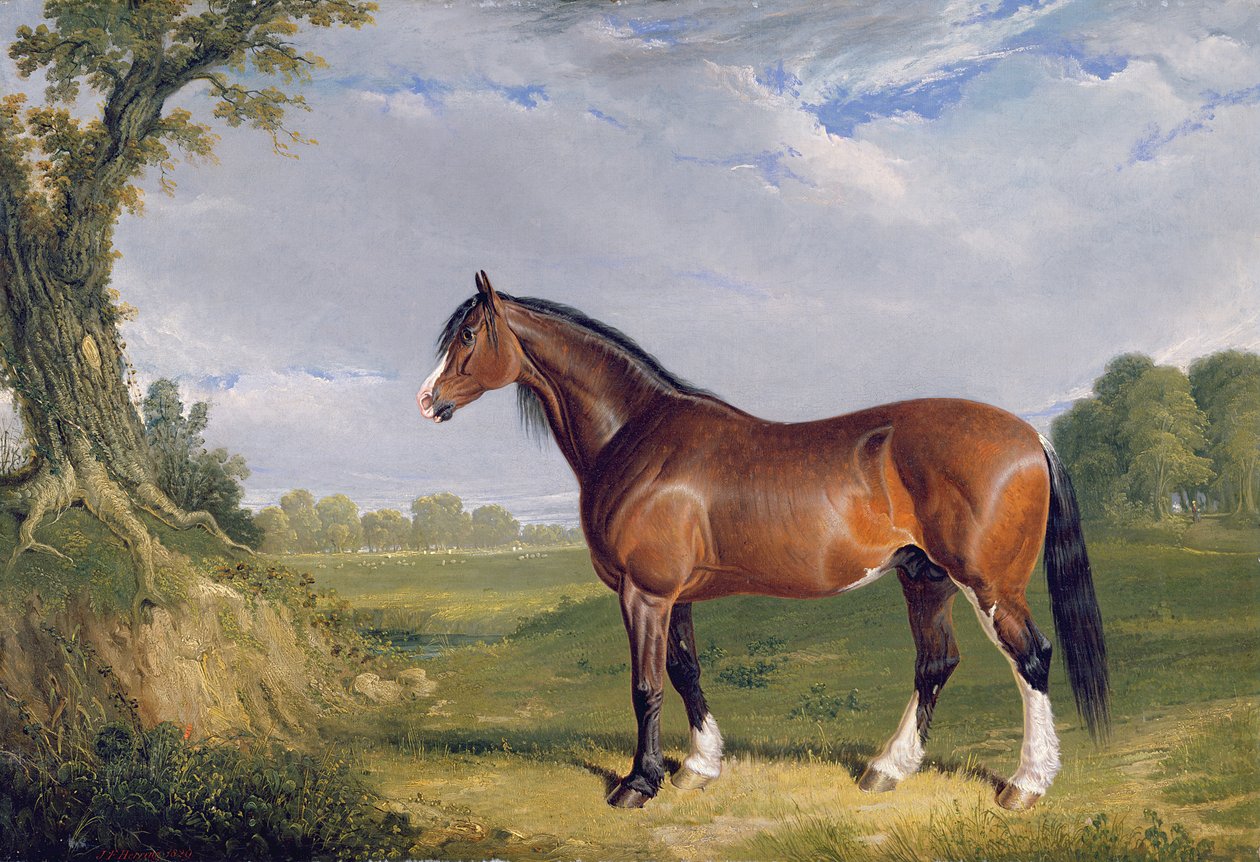 Um garanhão de Clydesdale, 1820 de John Frederick Herring Senior