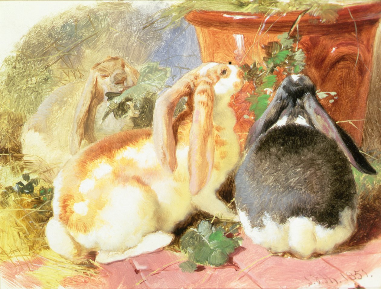 Um Estudo de Três Coelhos Orelhudos de John Frederick Herring Senior