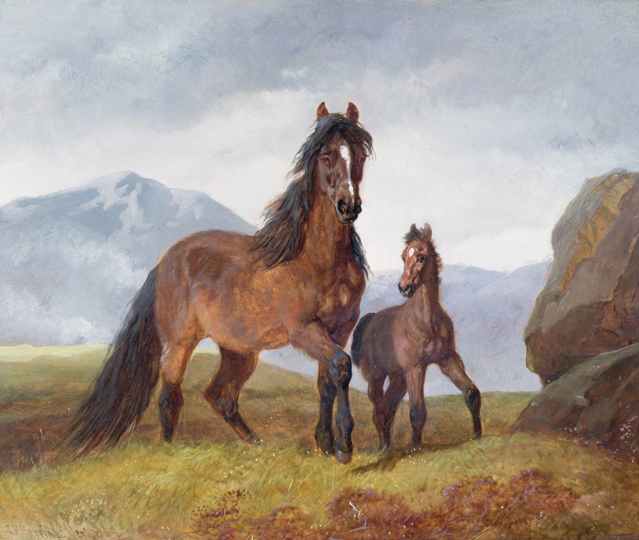 Uma égua e um potro da montanha galesa, 1854 (painel) de John Frederick Herring Senior