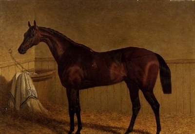 "Beeswing", um cavalo de corrida de baía numa loosebox. de John Frederick Herring Senior