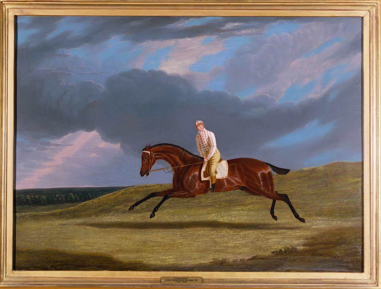 "Corduroy", um cavalo de corrida da baía, com um jóquei, galopando em uma pista de corridas de John Frederick Herring Senior