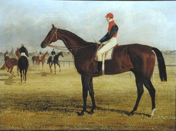 Don Jon, Vencedor do "St. Leger" com William Scott Up de John Frederick Herring Senior