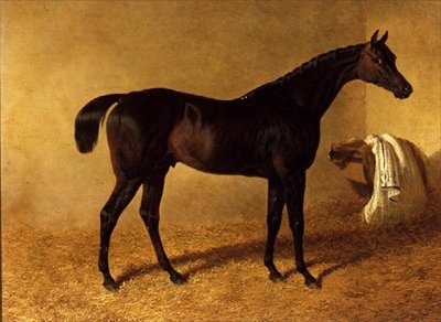 "Dr. Syntax", um cavalo de corrida de baía escura numa caixa solta. de John Frederick Herring Senior