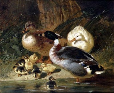 Patos e Patinhos de John Frederick Herring Senior