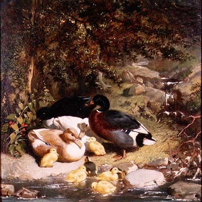 Patos e Patinhos de John Frederick Herring Senior